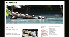 Desktop Screenshot of mapturtles.com